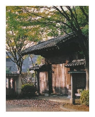 同窓会からの告知